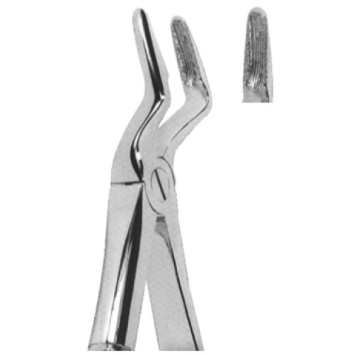 Tooth Extracting Forceps